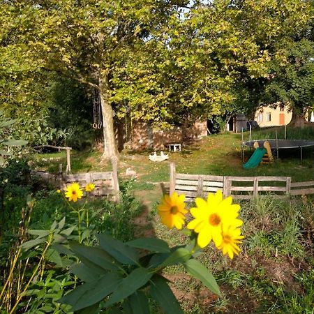 Albergue Del Oso Tierraluz Arbúcies Екстериор снимка