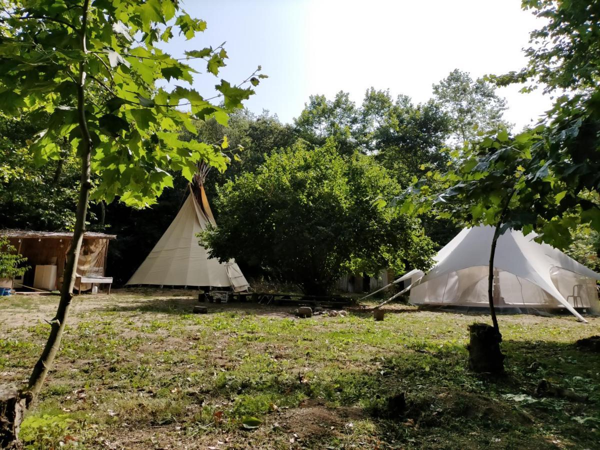 Albergue Del Oso Tierraluz Arbúcies Екстериор снимка