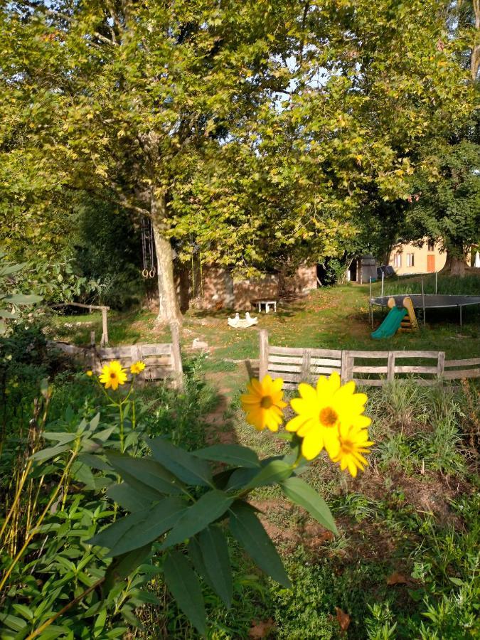 Albergue Del Oso Tierraluz Arbúcies Екстериор снимка
