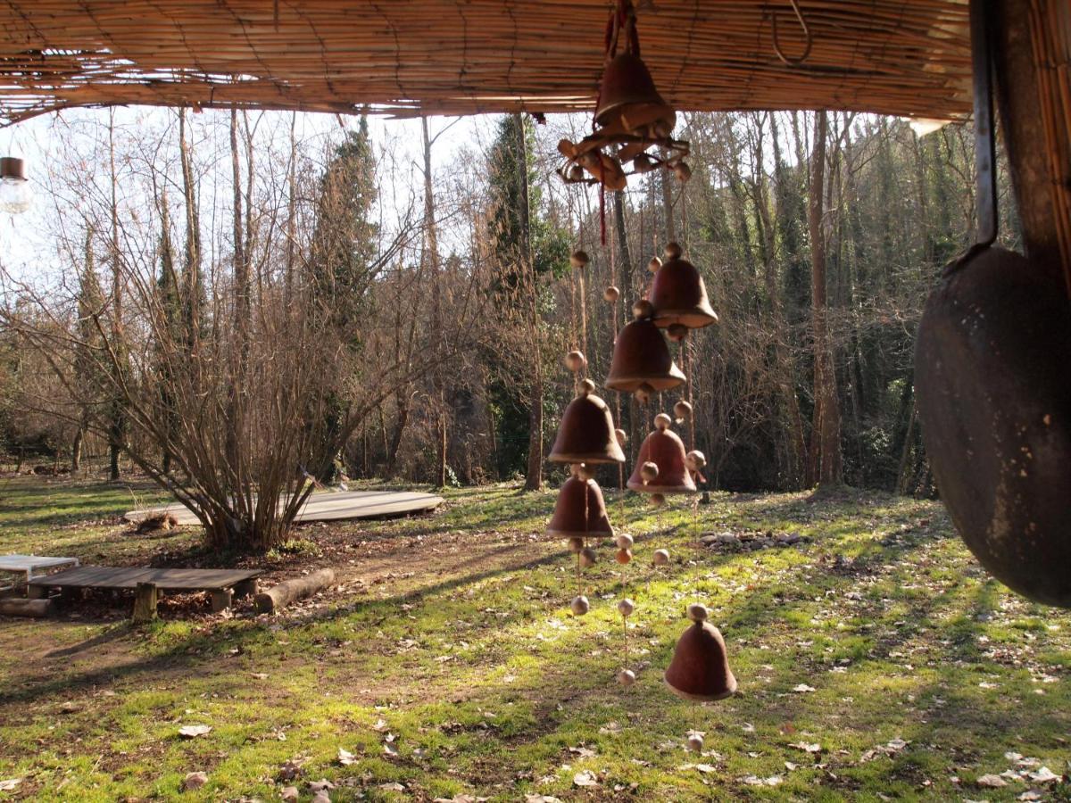 Albergue Del Oso Tierraluz Arbúcies Екстериор снимка